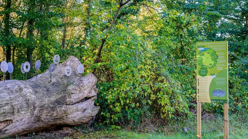 Ile de la Métairie, Espace Naturel Sensible - La-Ville-aux-Dames