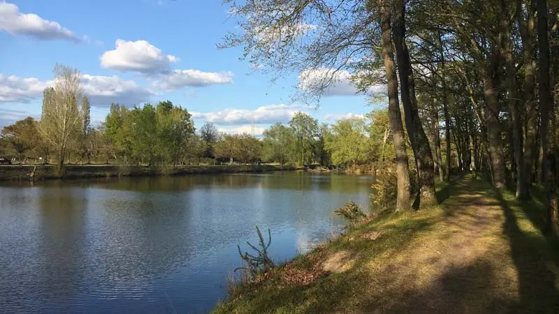 Lac Mousseau, Avoine.