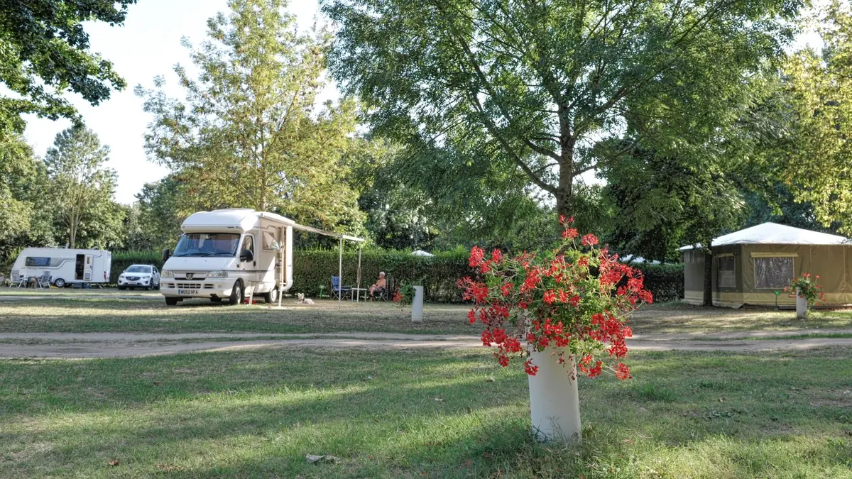 ACVL - Chinon- Camping de l'Ile Auger-_camping-Yves_LAHANQUE (6)