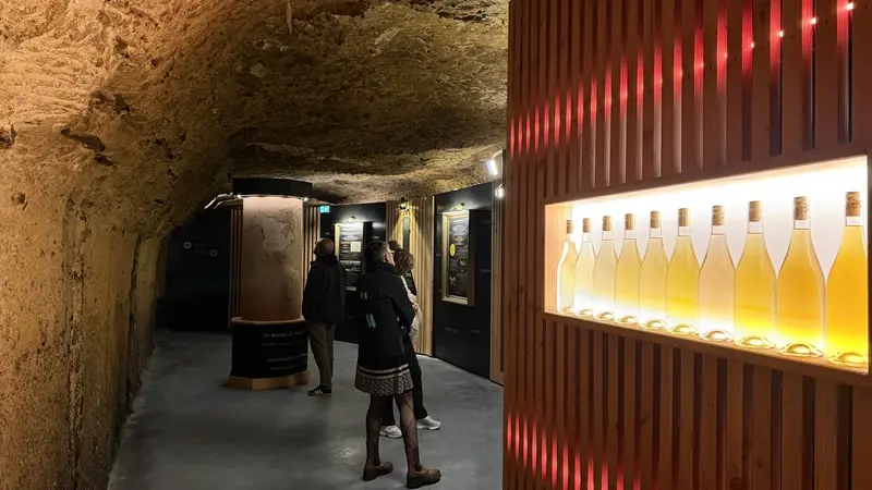 Oenotourisme à la Maison Laudacius - Montlouis-sur-Loire