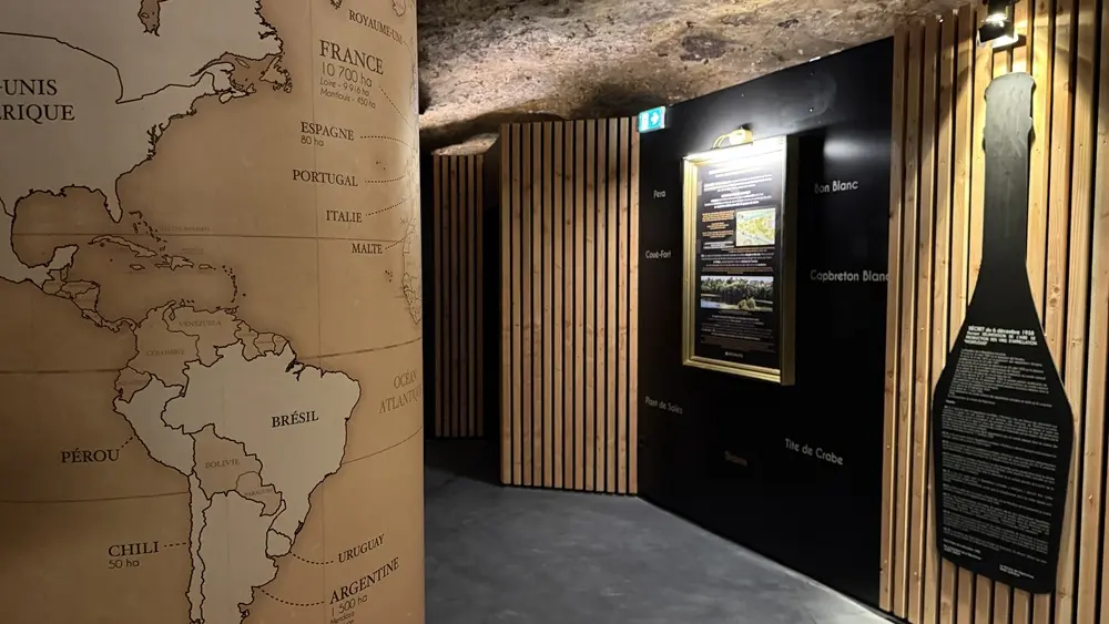 Maison Laudacius - Parcours de visite immersif