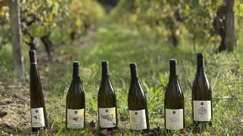 Maison Laudacius - Vins - Montlouis-sur-Loire