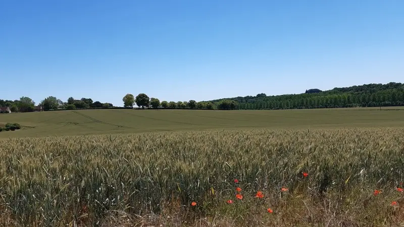 Randonnée de Montrésor - Le chemin des légendes