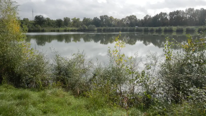 plan-d'eau
