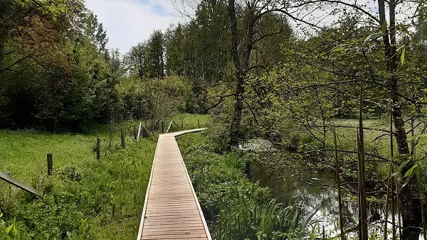 Chemin de la Petite Choisille - Randonnée à Charentilly