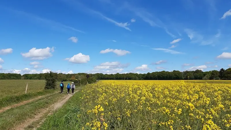 Chemin de la Petite Choisille - Randonnée à Charentilly