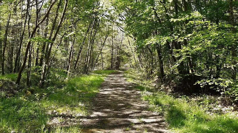 Chemin de la Petite Choisille - Randonnée à Charentilly