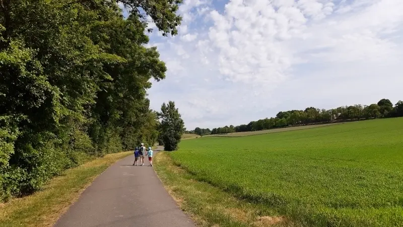 Randonnée pédestre - Espace naturel sensible du Val de Choisille