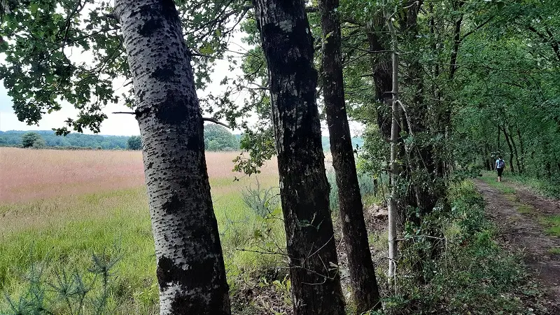 Randonnée Le Lys dans la Vallée