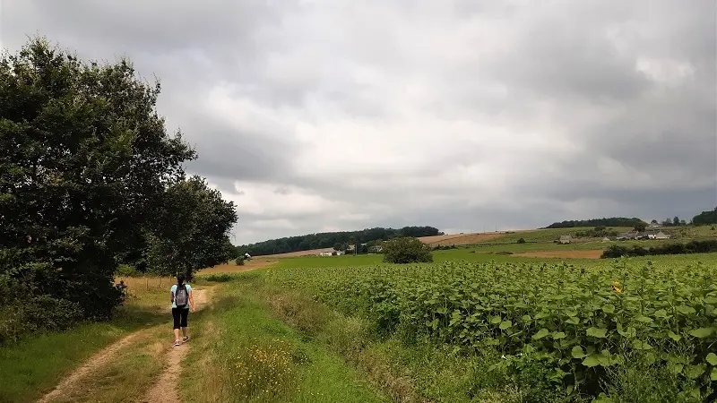 Randonnée Le Lys dans la Vallée