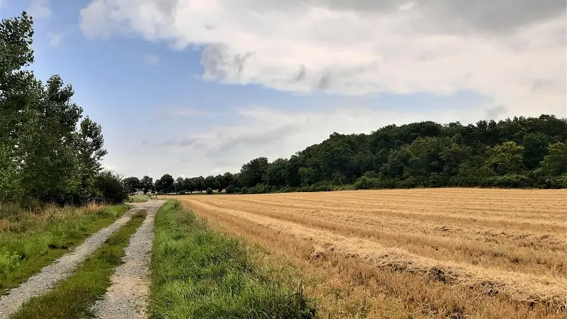 Randonnée Le Lys dans la Vallée