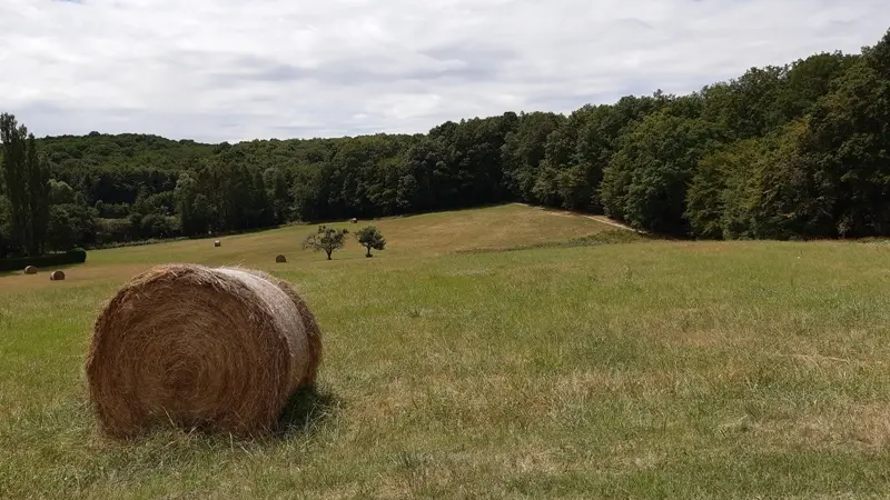 Vallée de la Ramberge - Randonnée de Saint-Ouen-les-Vignes