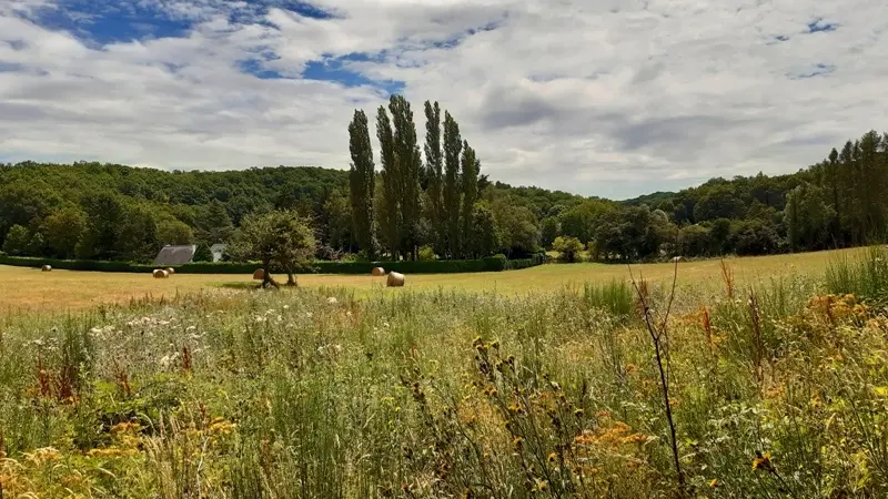 Randonnée de Saint-Ouen-les-Vignes - Vue sur la vallée de la Ramberge