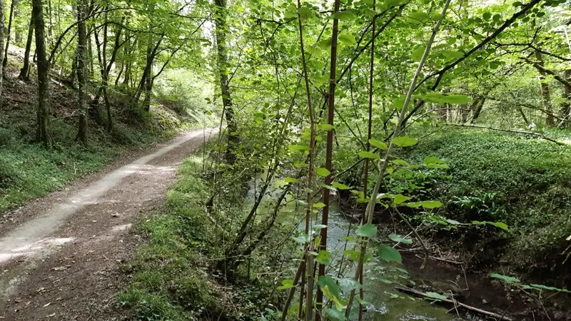 Le long de la Ramberge - Randonnée de Saint-Ouen-les-Vignes