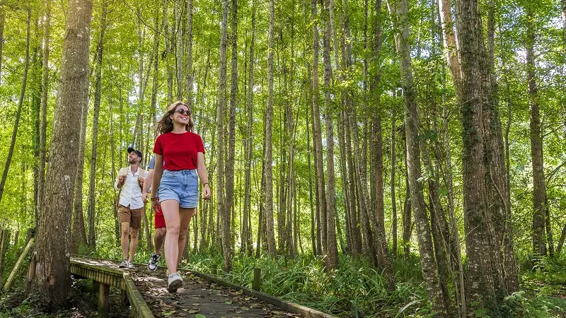 Chemin de la Petite Choisille - Randonnée à Charentilly
