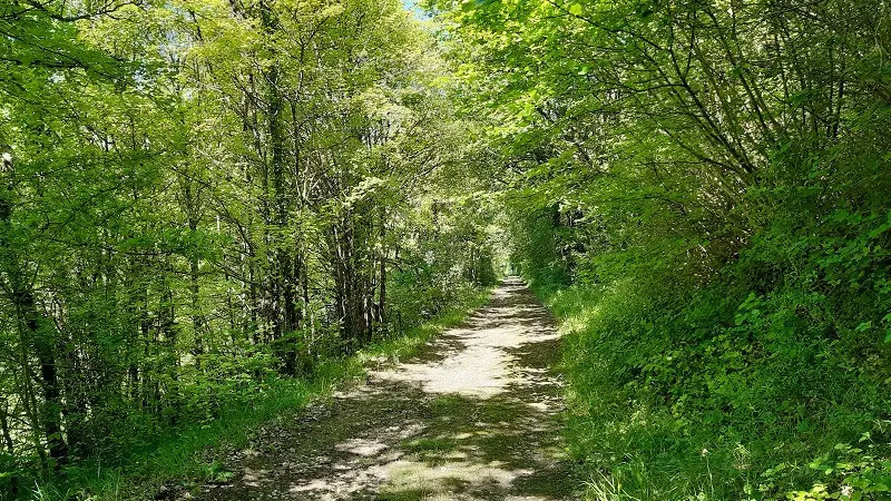Randonnée Le chemin des Moulins - Tauxigny-Saint-Bauld