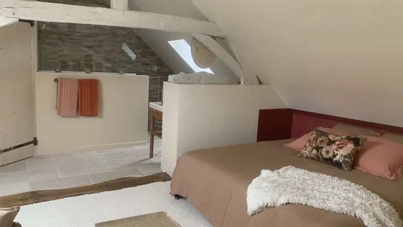 Salle de douche intégrée à la chambre