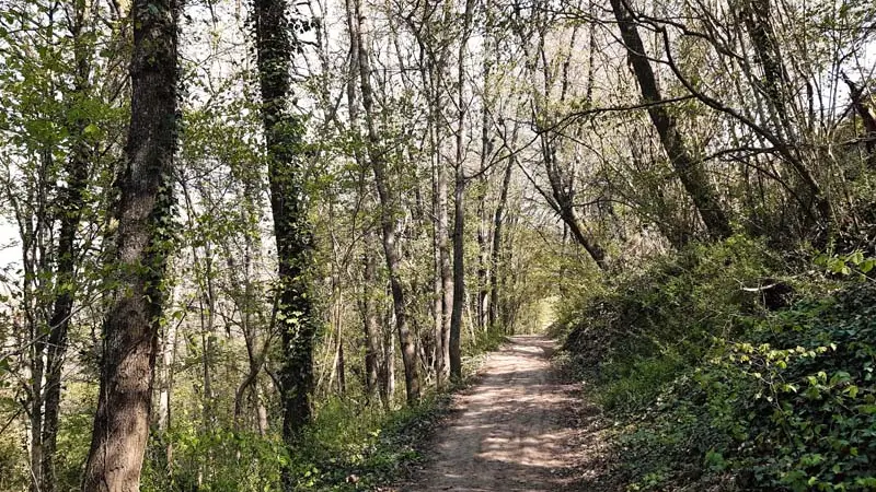 Sentier de randonnée de Rochecorbon - Entre Loire et vignes
