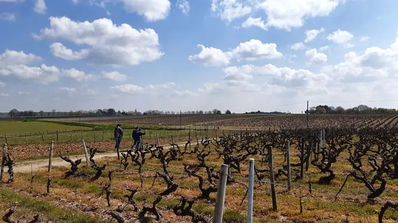 Sentier de randonnée de Rochecorbon - Entre Loire et vignes