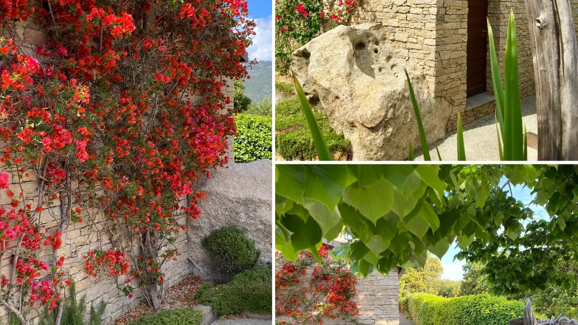 RESIDENCE PETRU MARIA