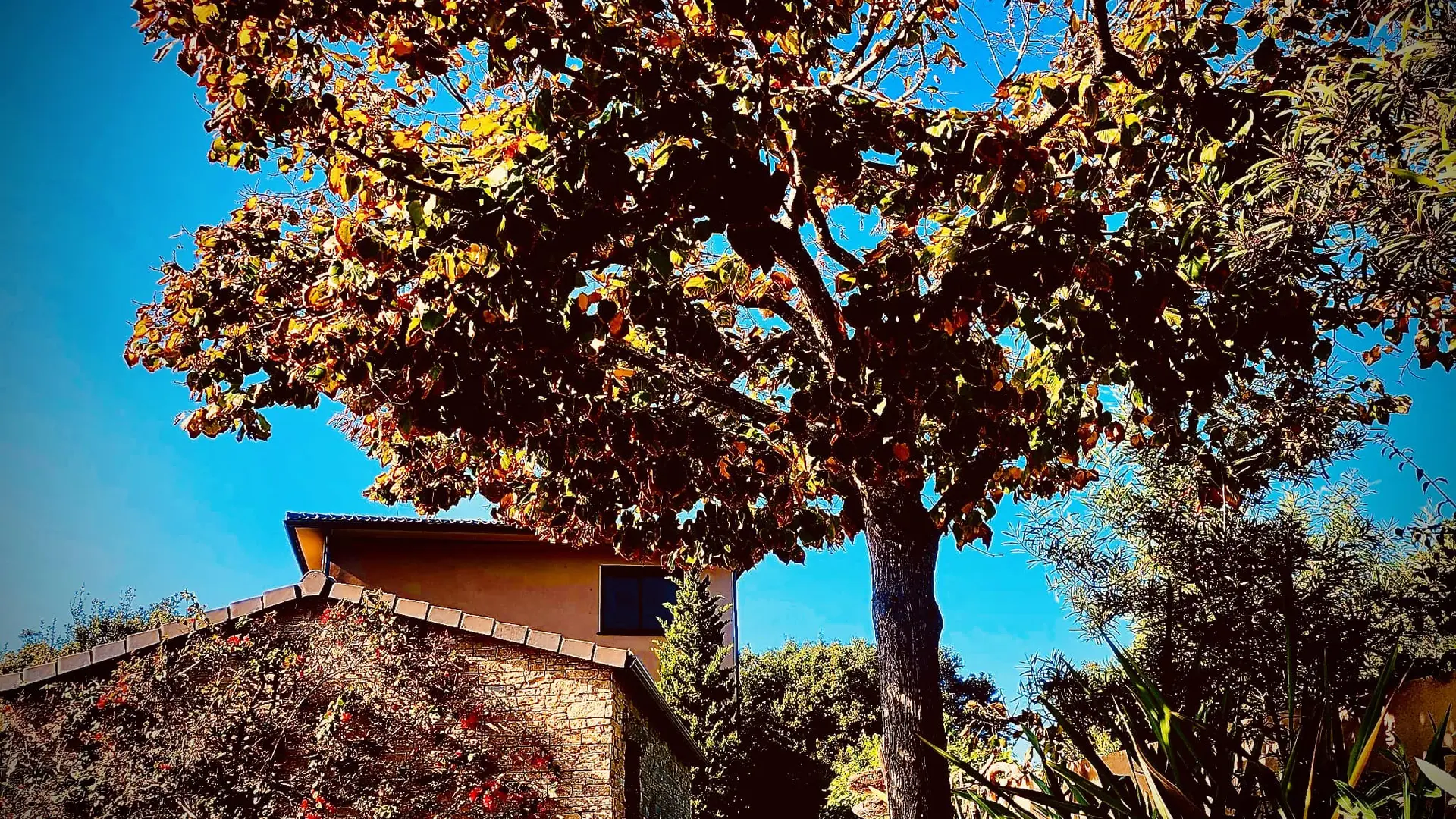 RESIDENCE PETRU MARIA