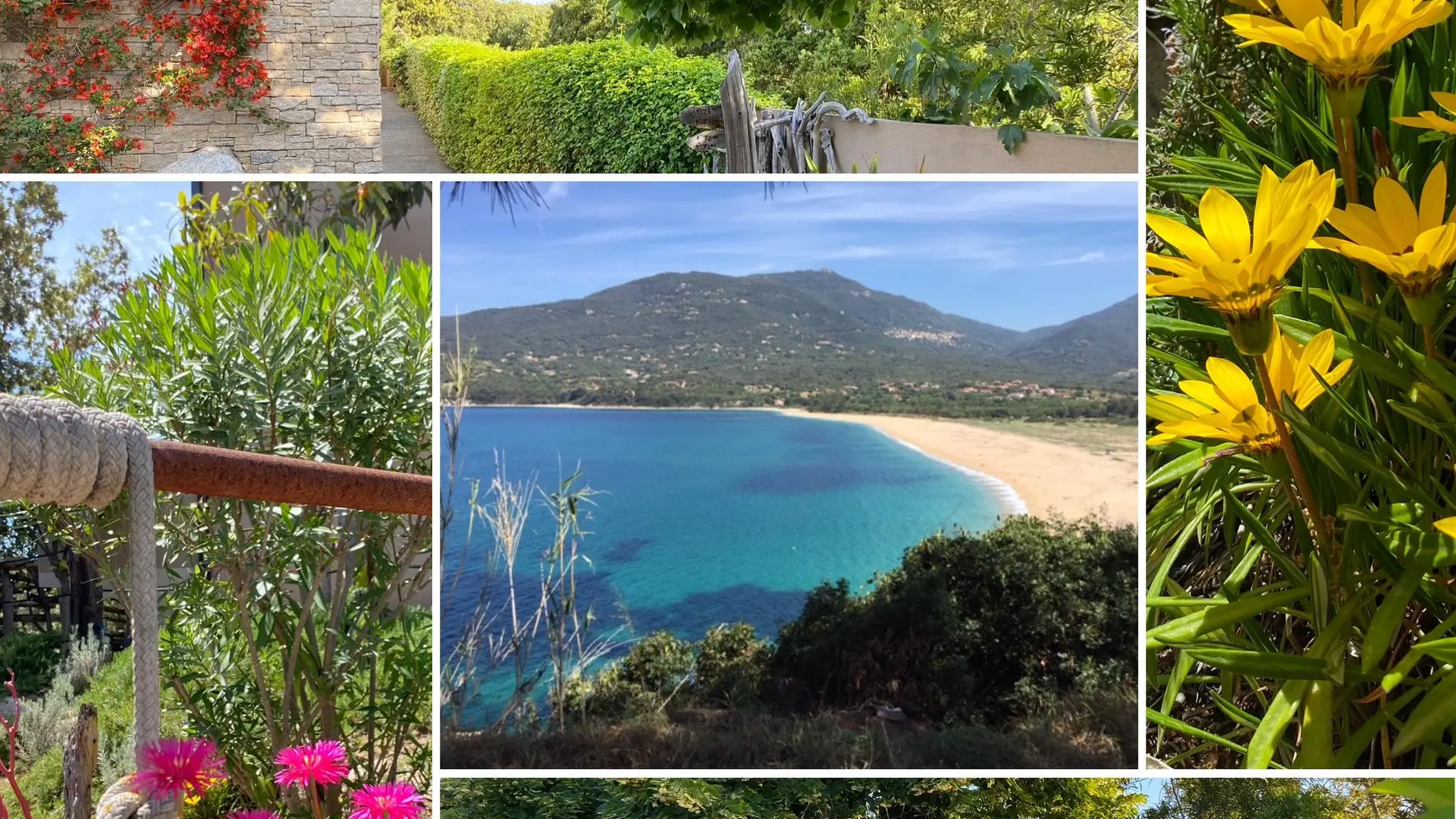 RESIDENCE PETRU MARIA