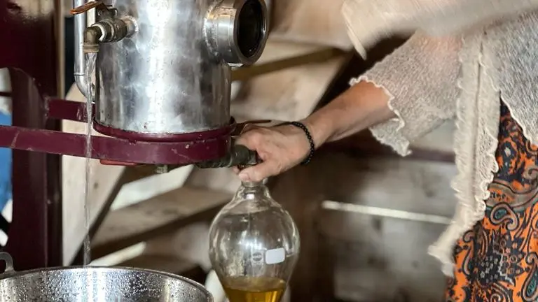 VITALBA - DISTILLERIE LISTINCU