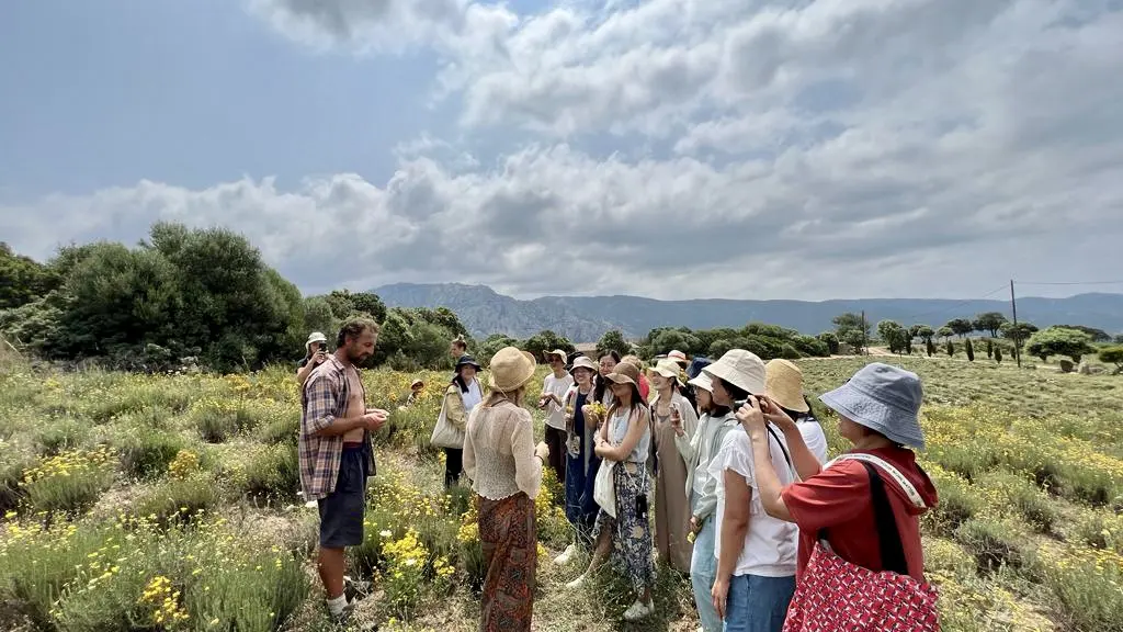 VITALBA - DISTILLERIE LISTINCU