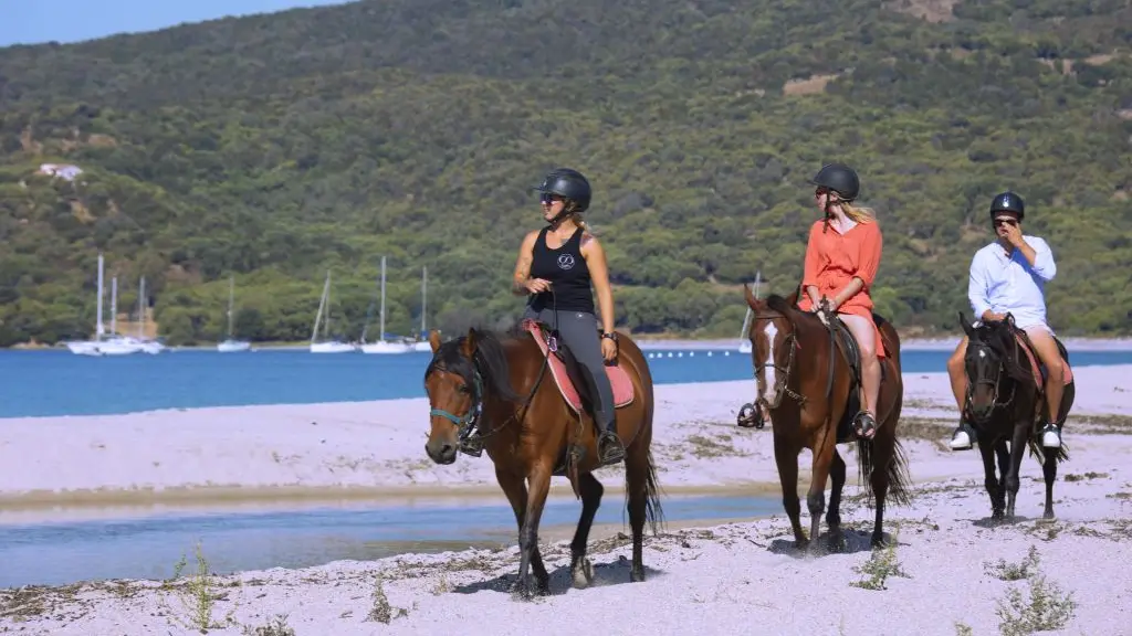 CENTRE EQUESTRE ECURIES LE GOLFE