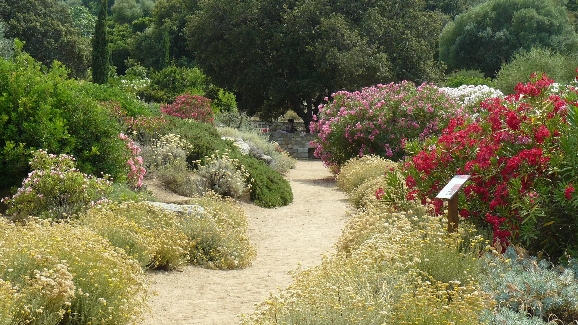 Vallée des Laurier-Roses