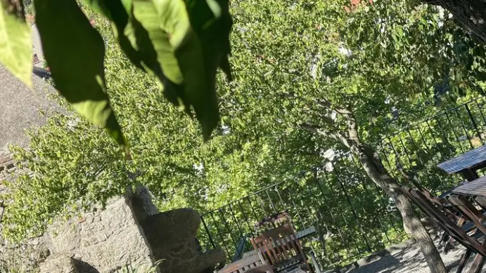 LE JARDIN DE L' ECHAUGUETTE