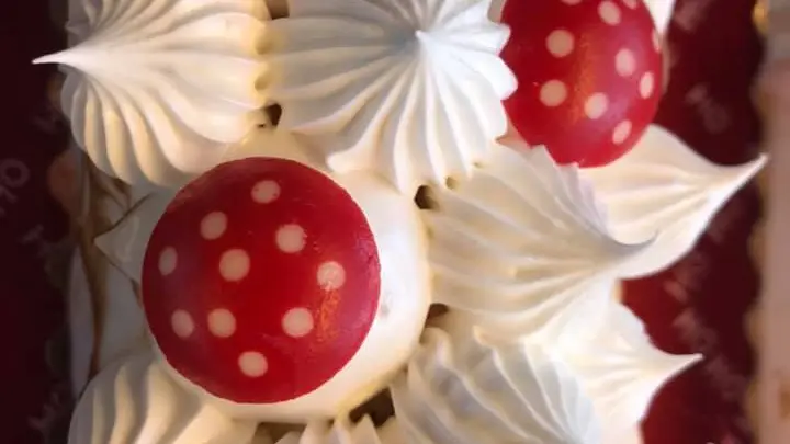 GELATERIA GLACES ARTISANALES