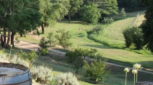 DOMAINE KIESALE ABBATUCCI CASALABRIVA CORSE DU SUD_5