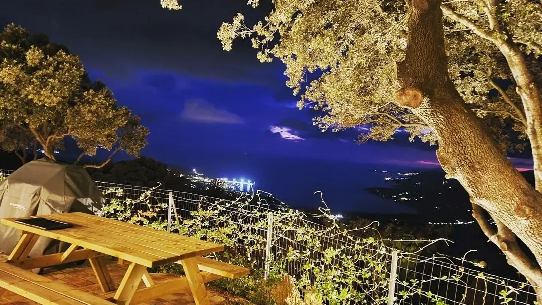 DOMAINE A VIGNA