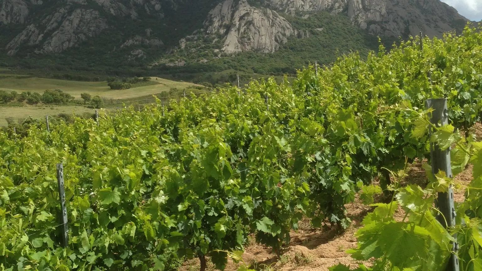CASTELLU DI BARICCI