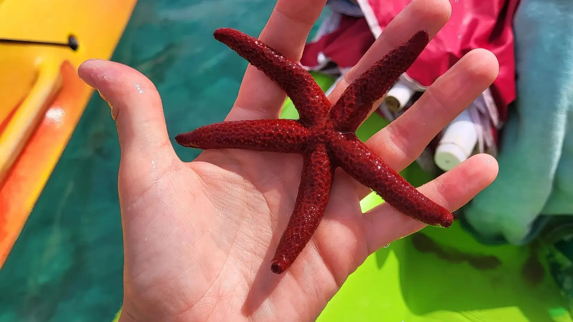 SUD NAUTIK