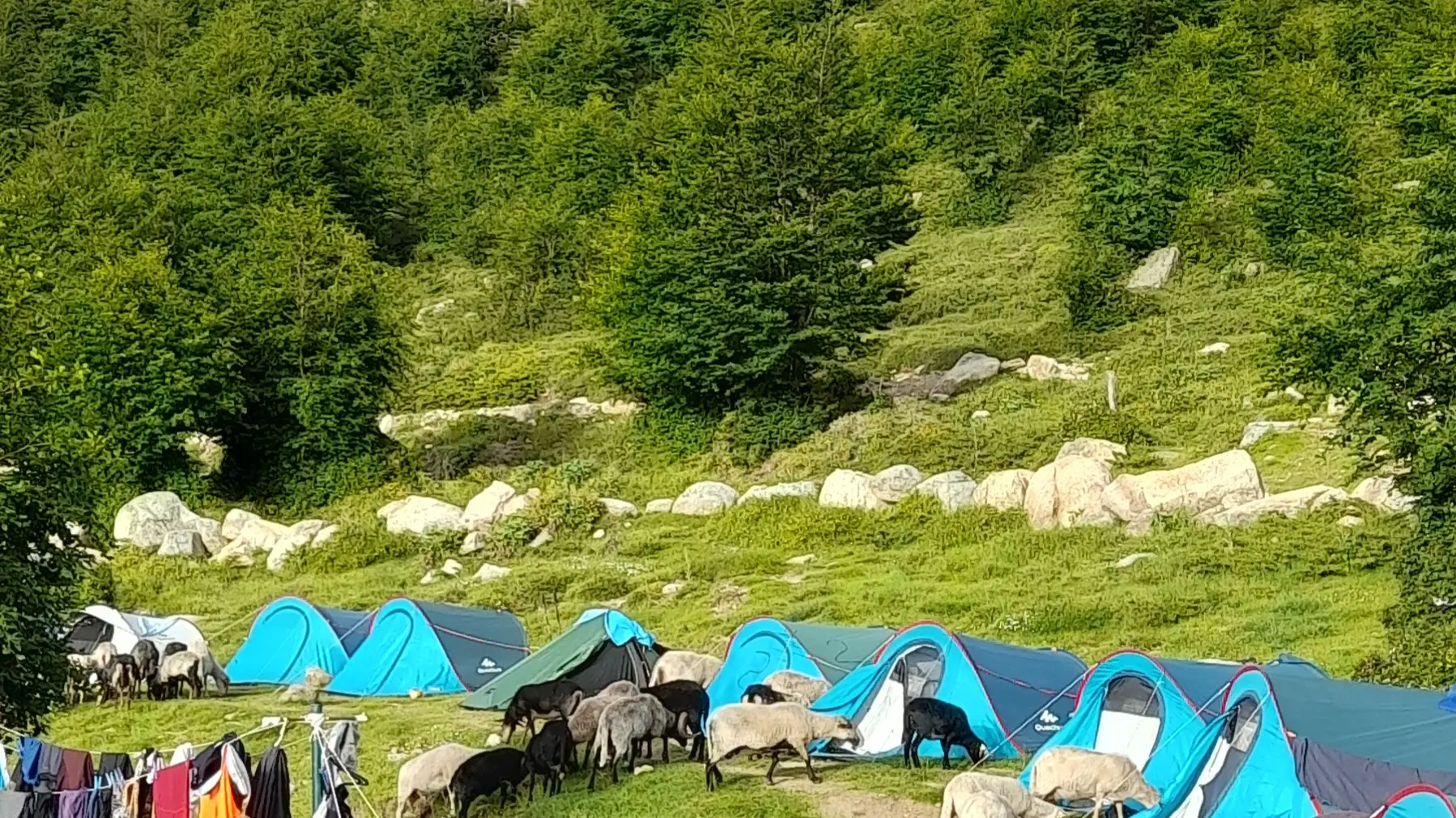 MUNTAGNA STORIA LIBERTA