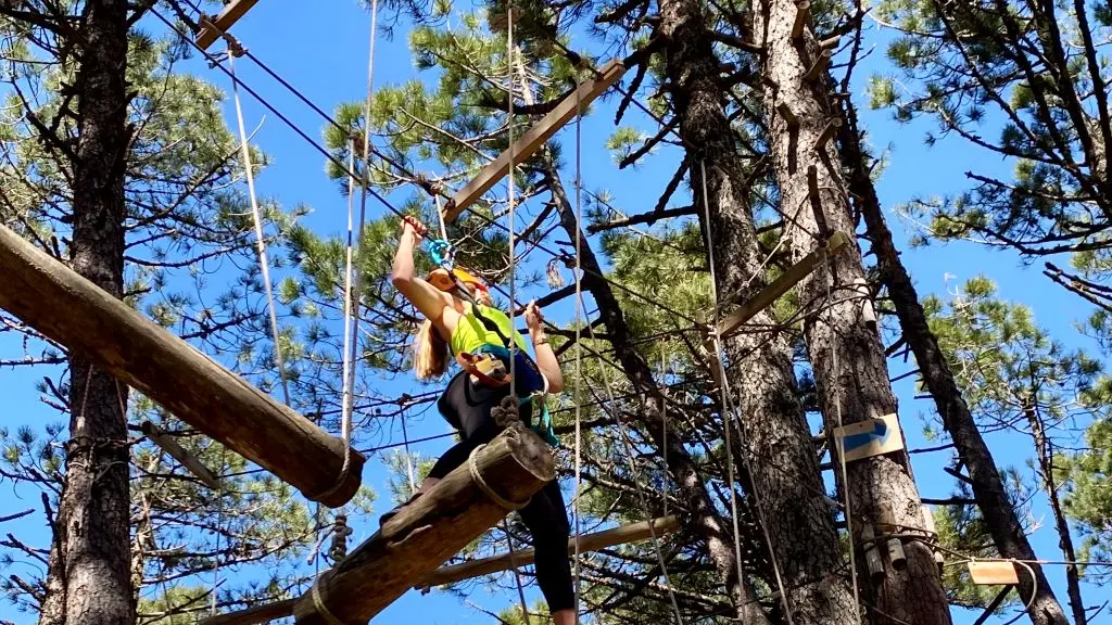 Parcours accrobranche en hauteur avec buches attachés à des arbres