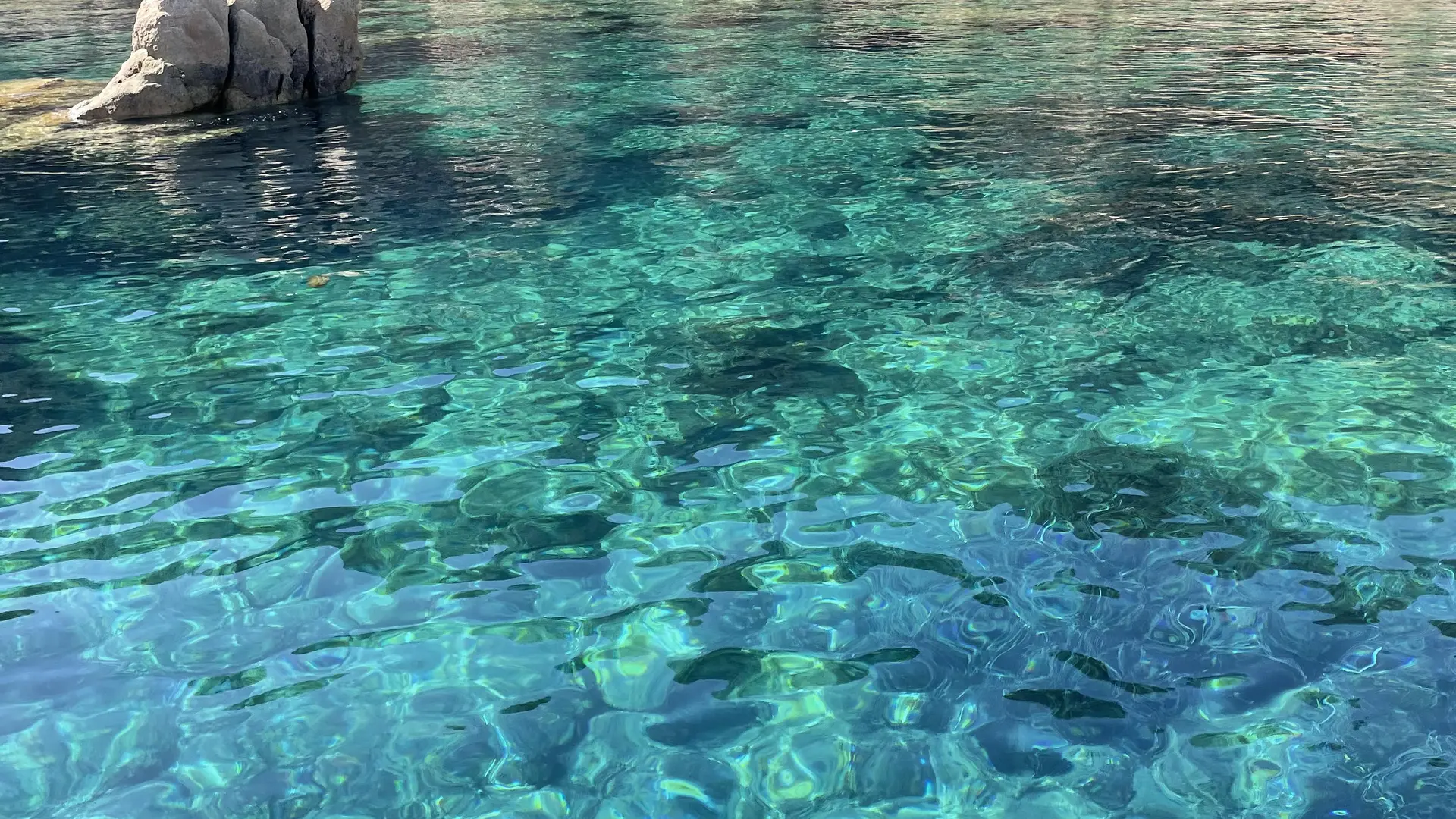 PARADISU MARINU