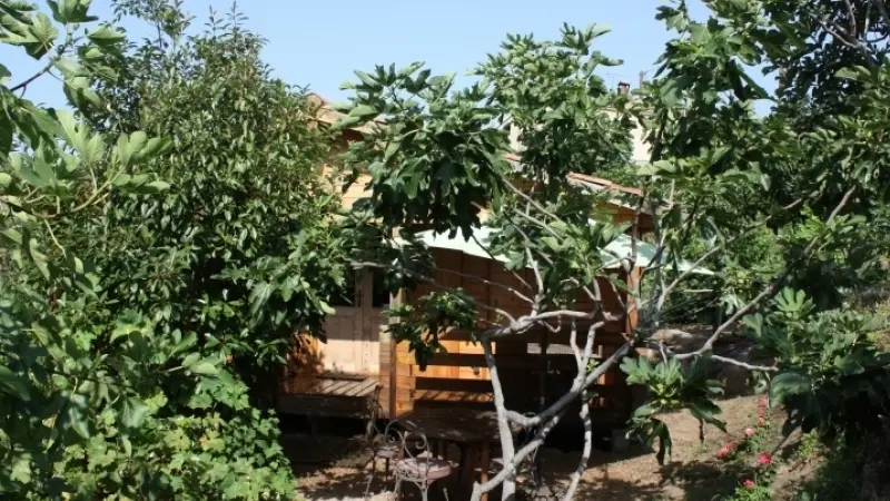 AUBERGE U SIRENU_1_1