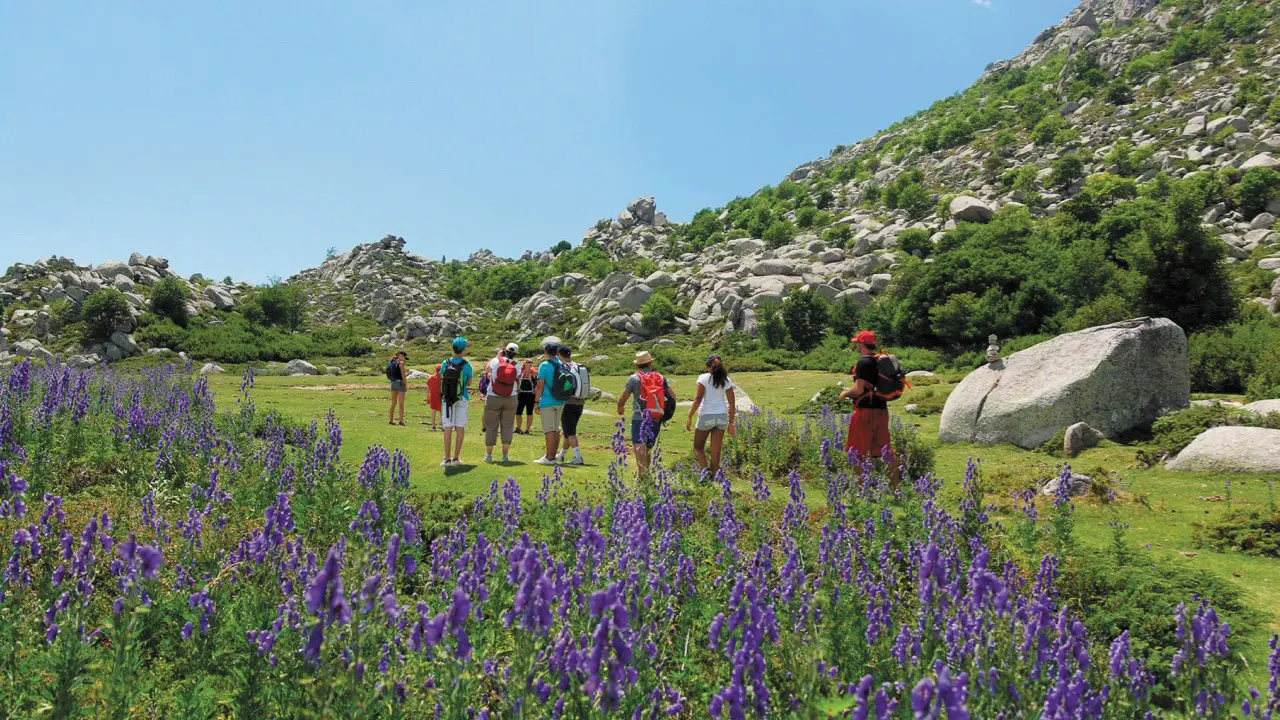 Bandeau_anda_ACT_A_Muvrella_2025_cmjn