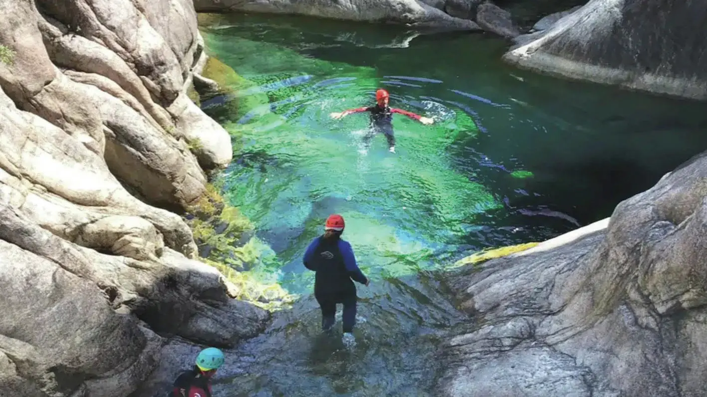 Bandeau_anda_ACT_Corsica_Forest_2024_cmjn