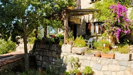 Bilia corse du sud_3