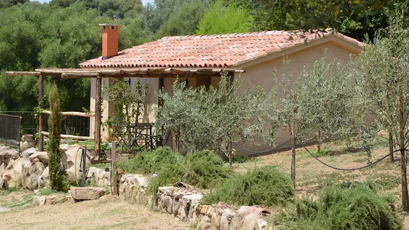 CHAMBRES D'HOTES U SIRENU_7