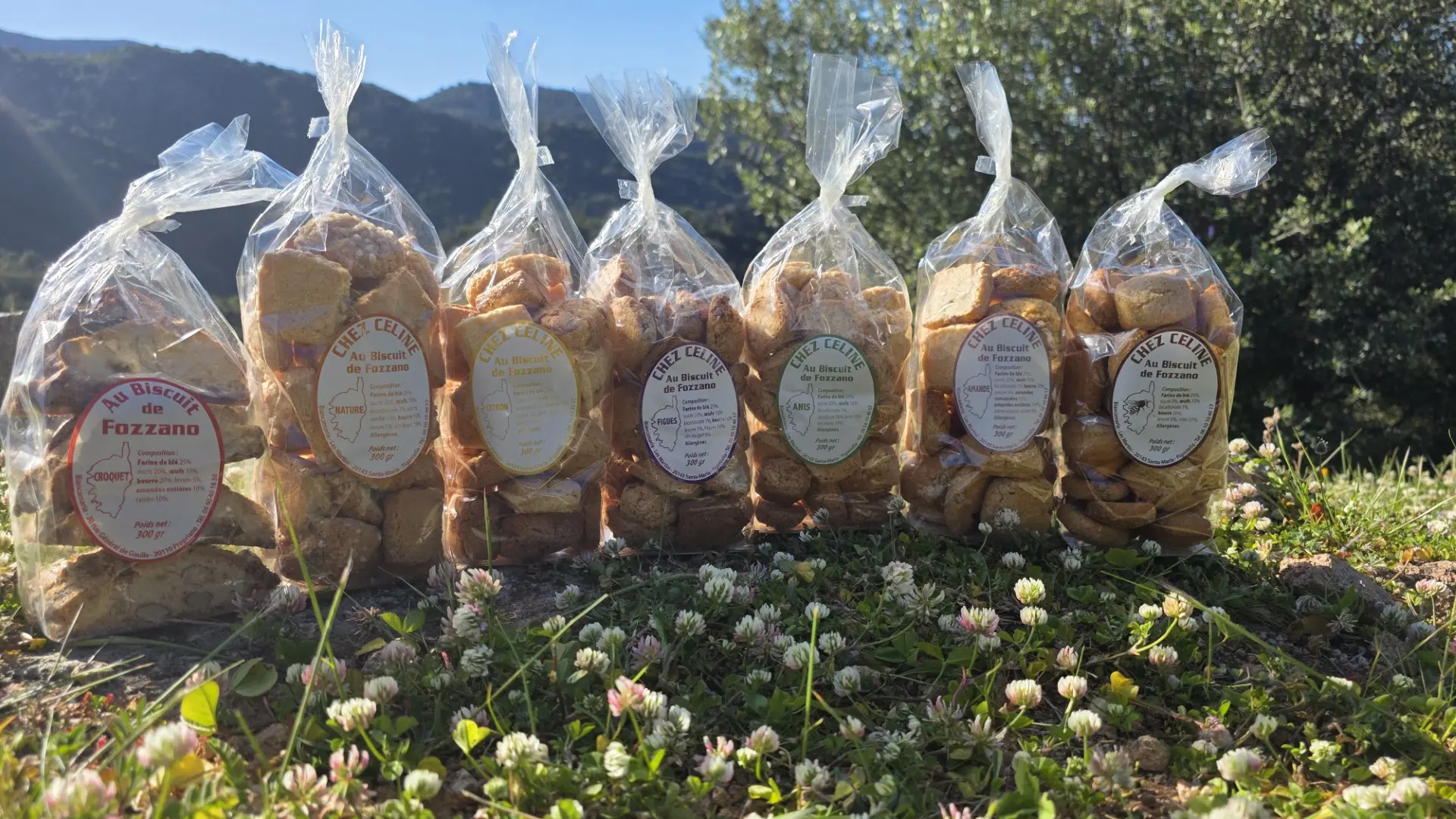 CHEZ CELINE AU BISCUIT DE FOZZANO