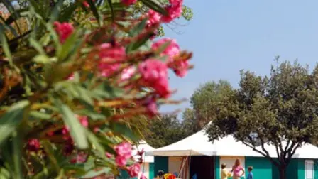 Camping l' Avena Tizzano Corse du Sud_3