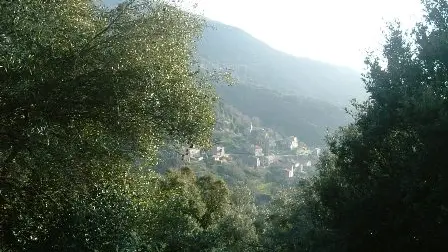 Calvese corse du sud_2