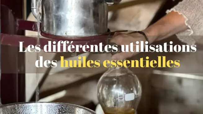VITALBA - DISTILLERIE LISTINCU