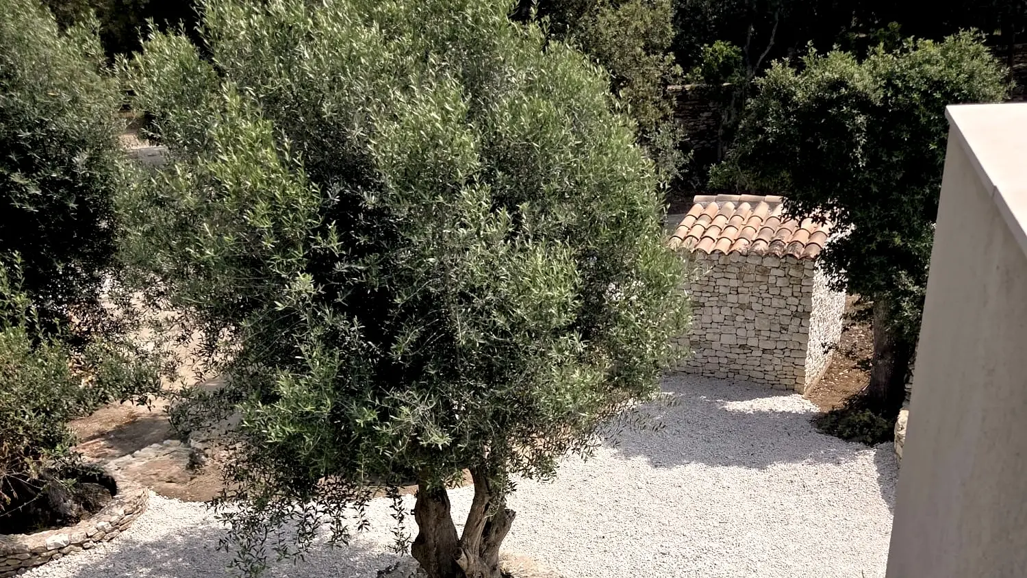 Chambre d'hotes -Maison Mahana-jardin