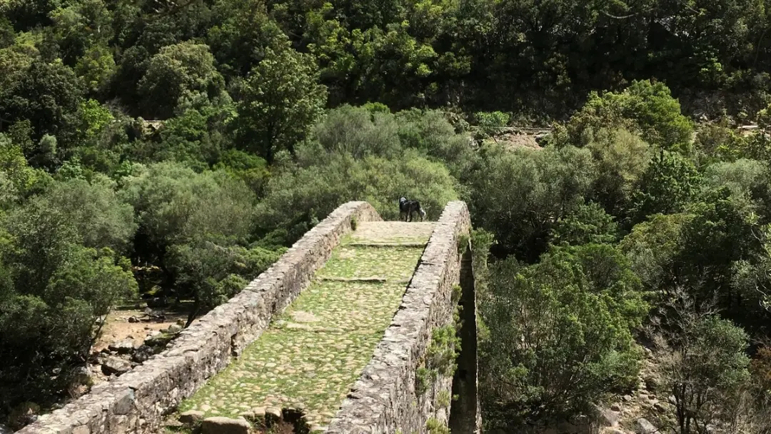 MUNTAGNA STORIA LIBERTA